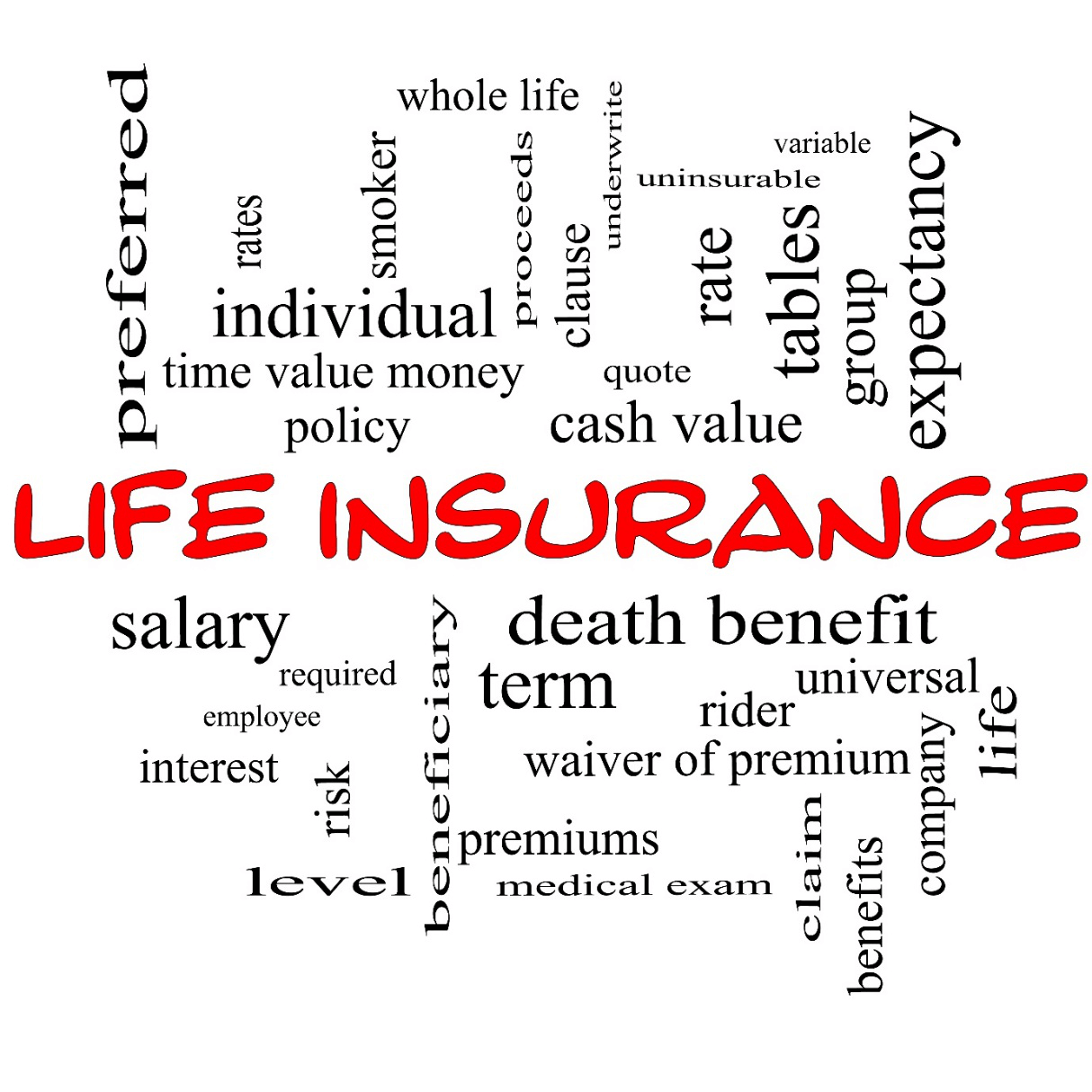 Life Insurance Policy Max Life Insurance