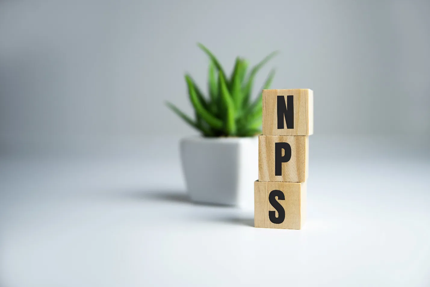 nps-2.webp